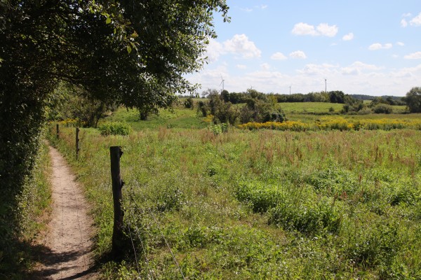 Schönerlinder Teiche