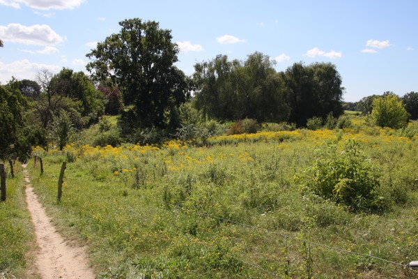 Schönerlinder Teiche