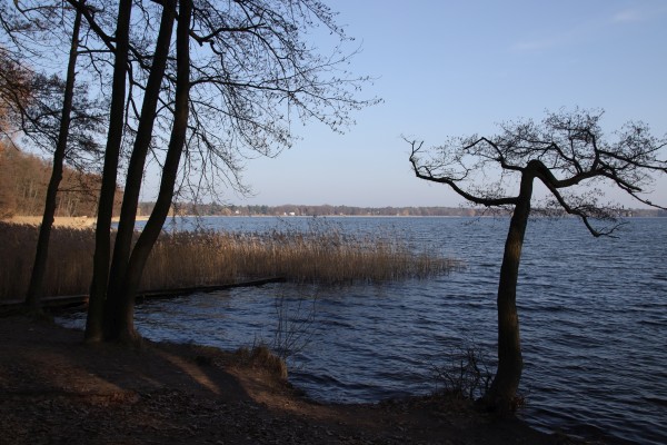 Wandlitzer See