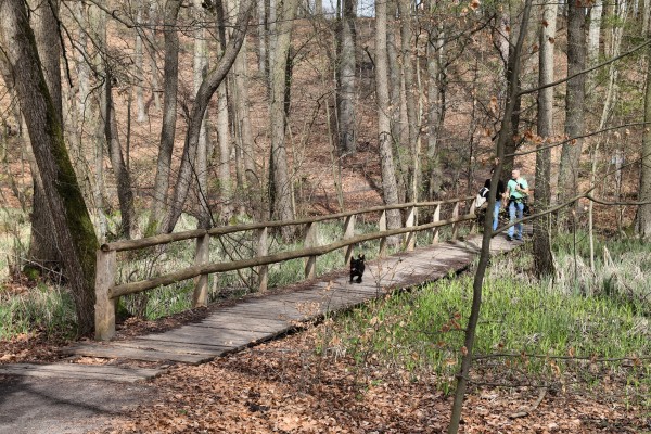 Brücke