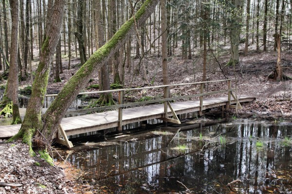 Brücke