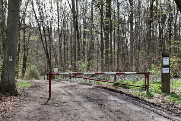 Waldweg