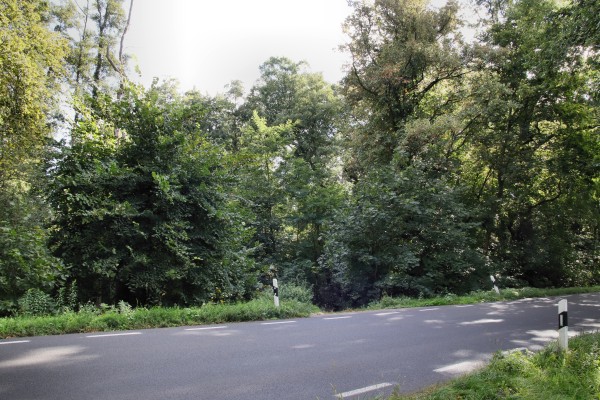 Fercher Straße