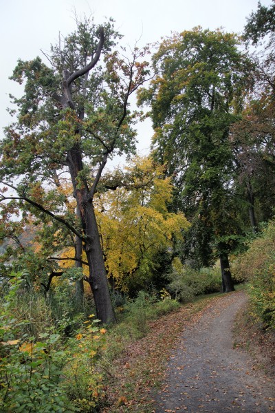 Schloßpark