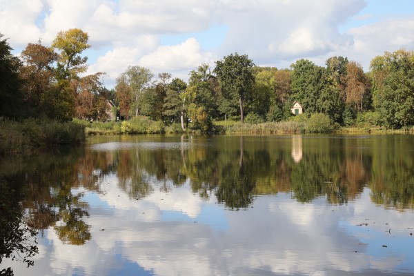 Haussee