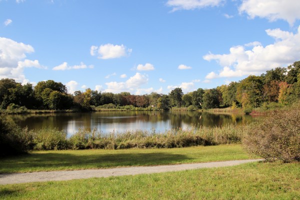 Haussee