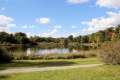 Haussee