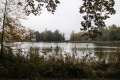 Haussee