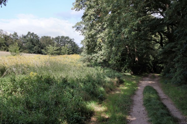 Uferwanderweg