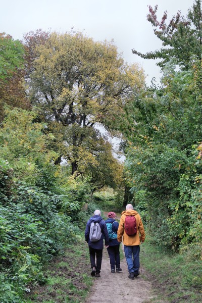 Uferwanderweg