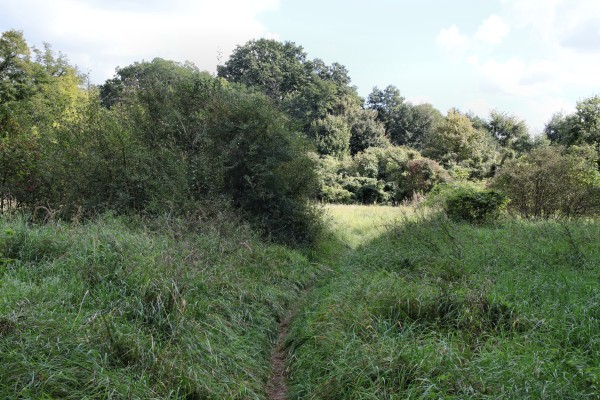 Wiesenweg
