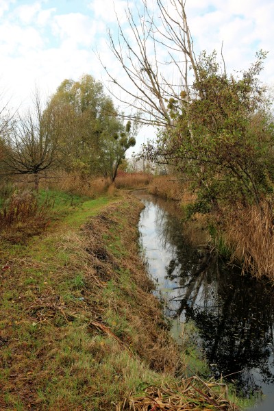 Graben Bremer Ring