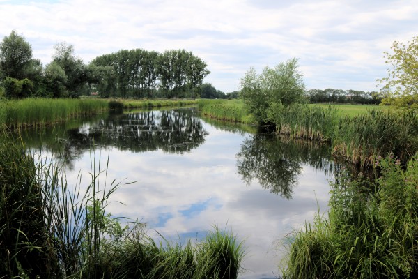 Pelsterlakegraben