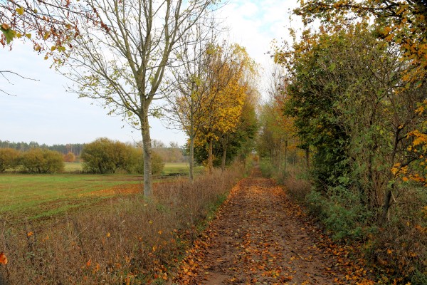 Weg am Schlaggraben