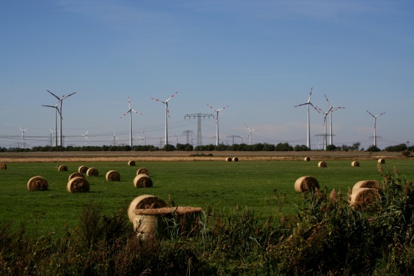 Nauener Platte