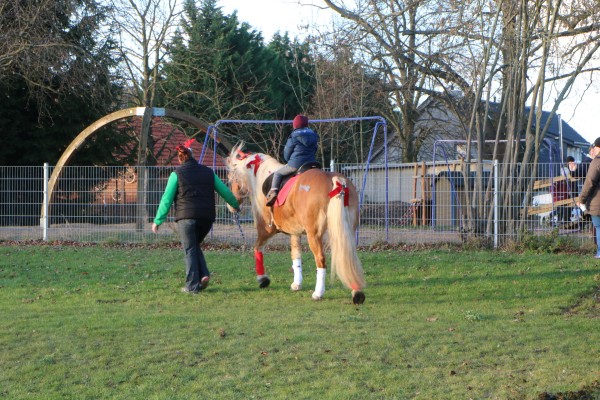 Reiten