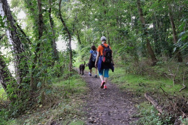 Uferweg Havelkanal