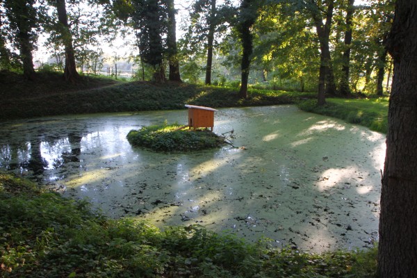 Burgparkteich