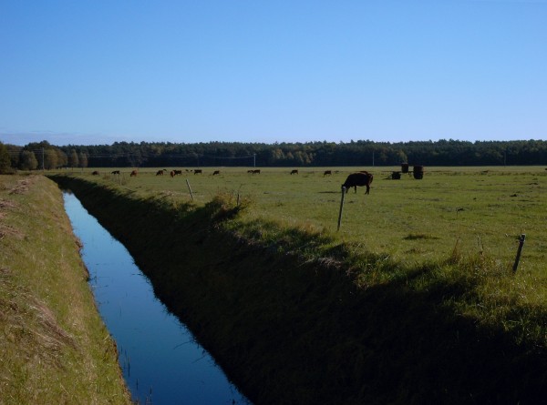 Feldflur - Graben