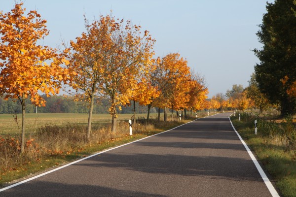 Straße nach Boek