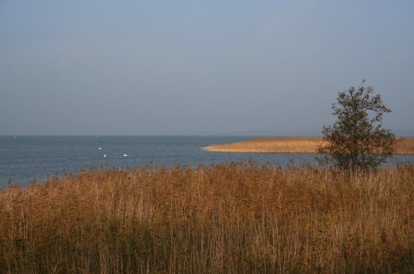 Müritz