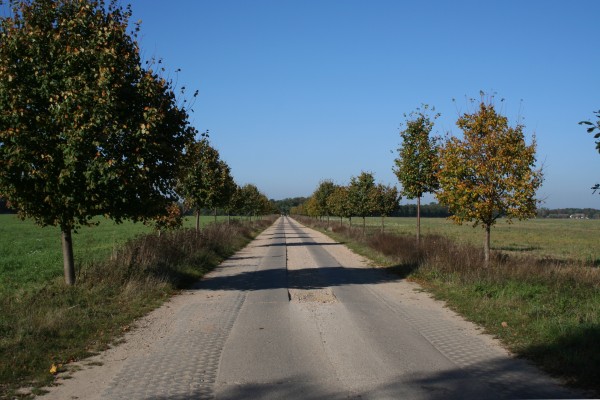 Nationalparkstraße