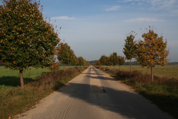 Nationalparkstraße