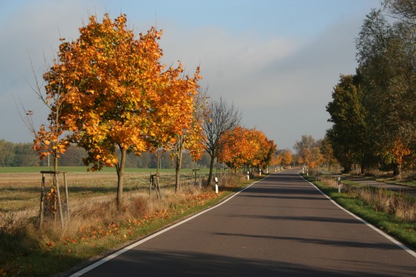 Straße nach Boek