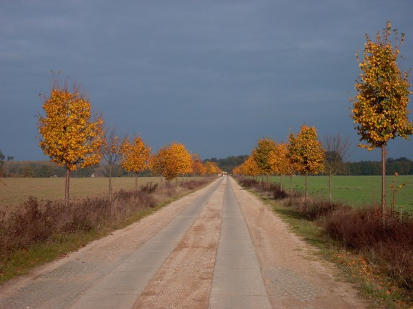 Nationalparkstraße