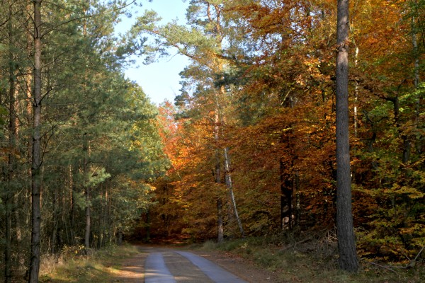 Straße nach Speck