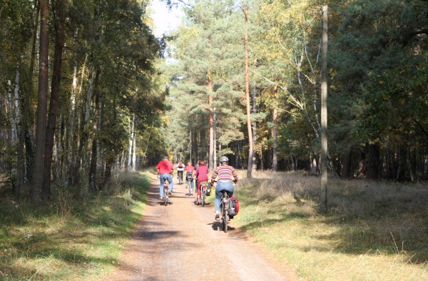 Boeker Wald