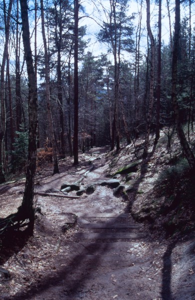 Lilienstein