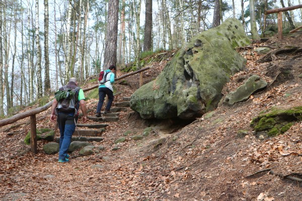 Lilienstein Südaufstieg