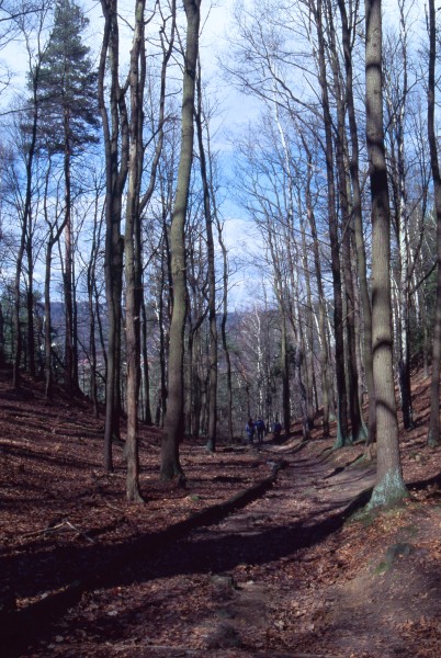 Lottersteig