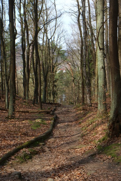 Lottersteig