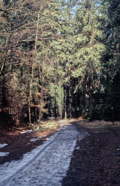 Füllhölzelweg