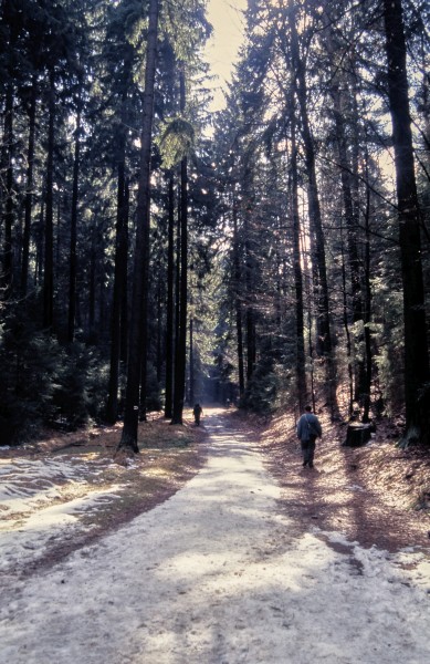 Füllhölzelweg