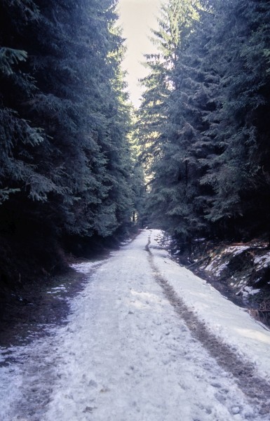 Füllhölzelweg