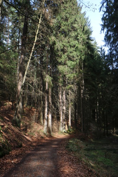 Füllhölzelweg