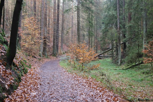 Füllhölzelweg