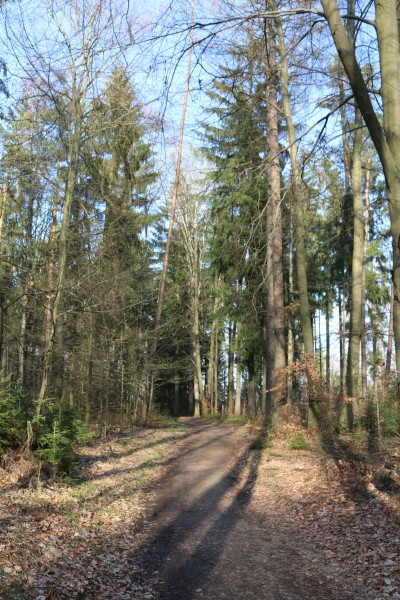 Knotenweg