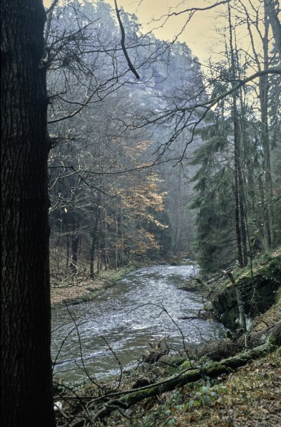 Polenztal
