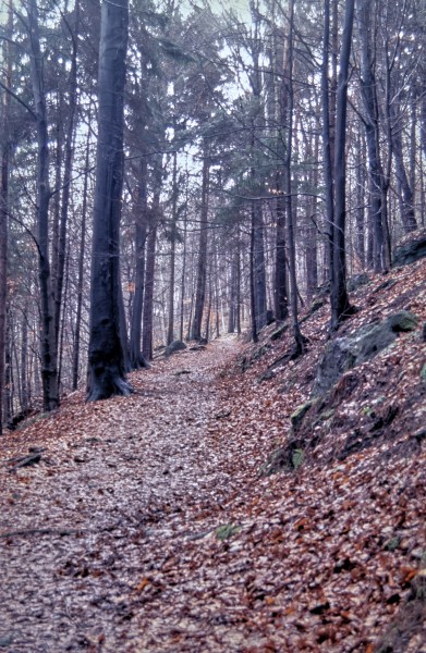 Dreirutenweg