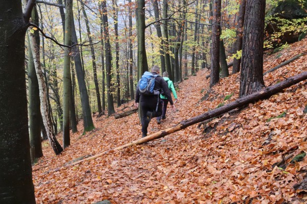 Hangweg