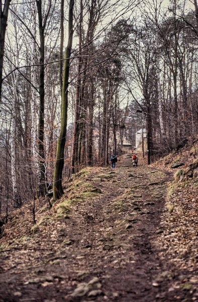 Hofmühlenweg