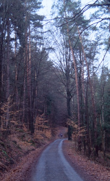 Kirchleitenstraße