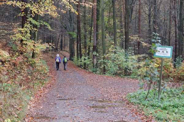 Kirchleitenstraße