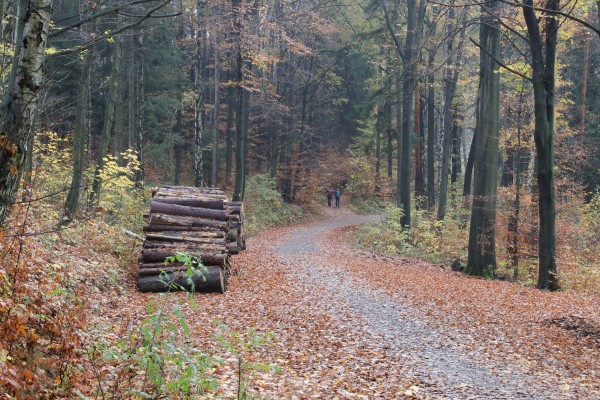 Kirchleitenstraße