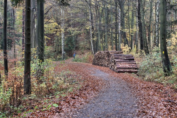 Kirchleitenstraße