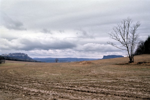 Feldflur